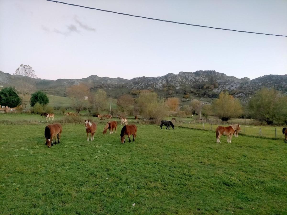 Turismo En Babia Bajo Los Nidos San Emiliano Εξωτερικό φωτογραφία